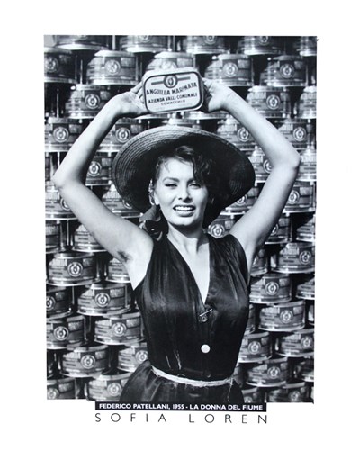 Sofia Loren 98cmx68cm-570